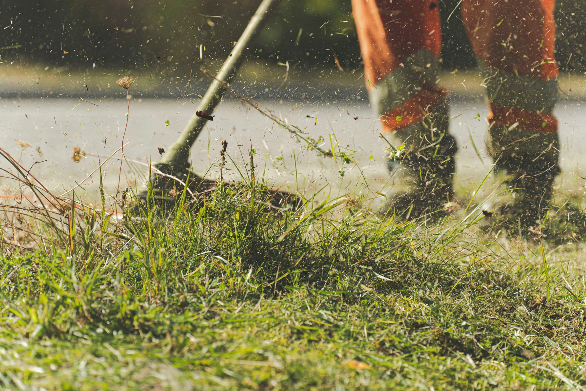 Professional Outdoor Maintenance